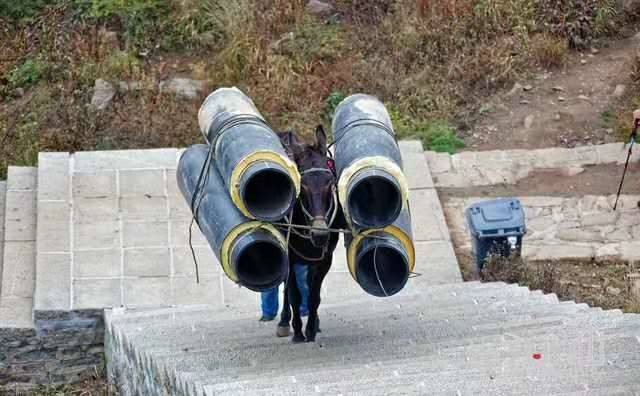 黄冈马帮运输